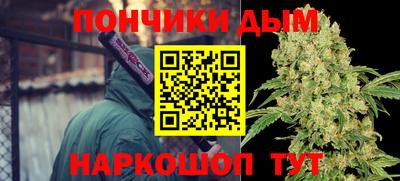 индика Кунгур