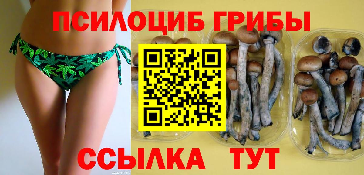 Каменск-Шахтинский  Галлюциногенные грибы мицелий  Галлюциногенные грибы Magic Shrooms  Вход с VPN 